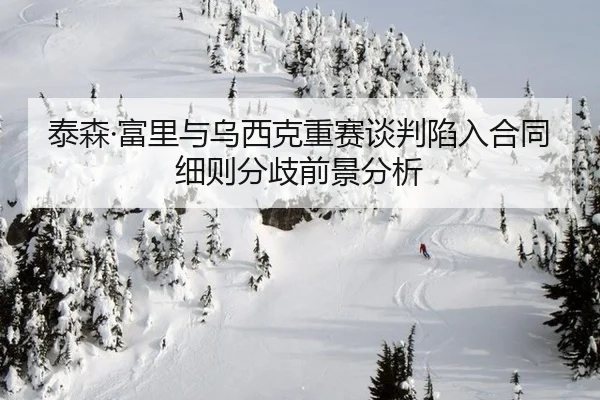 泰森·富里与乌西克重赛谈判陷入合同细则分歧前景分析
