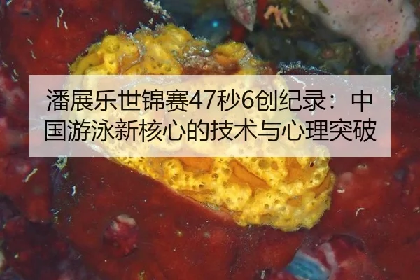 潘展乐世锦赛47秒6创纪录：中国游泳新核心的技术与心理突破